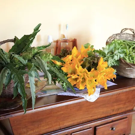 Al Canei Couette-café 3*